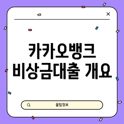 카카오뱅크 비상금대출 개요
