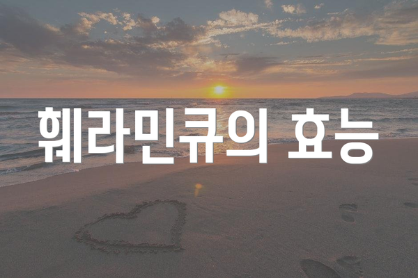 훼라민큐의 효능