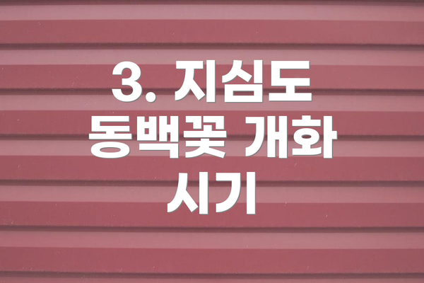 3. 지심도 동백꽃 개화 시기