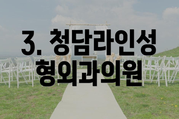 3. 청담라인성형외과의원