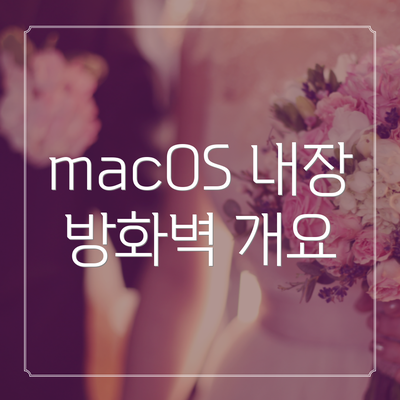 macOS 내장 방화벽 개요