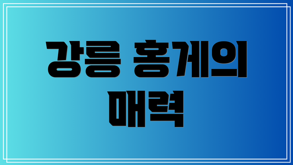 강릉 홍게의 매력