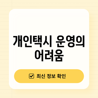 개인택시 운영의 어려움