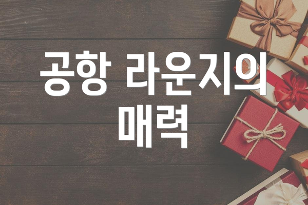 공항 라운지의 매력