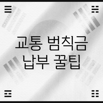 교통 범칙금 납부 꿀팁