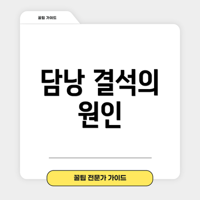 담낭 결석의 원인
