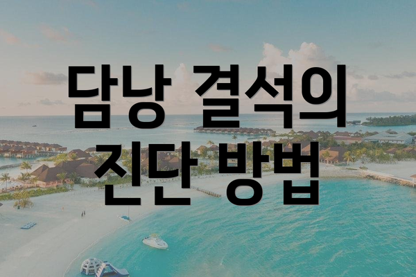 담낭 결석의 진단 방법