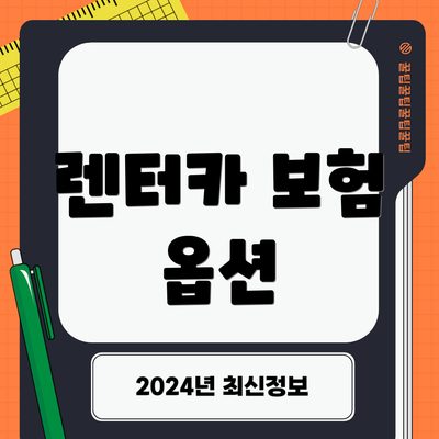 렌터카 보험 옵션