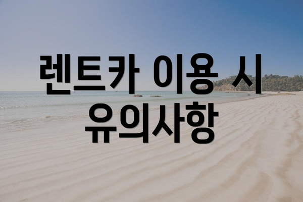 렌트카 이용 시 유의사항