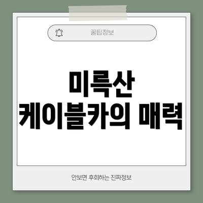 미륵산 케이블카의 매력