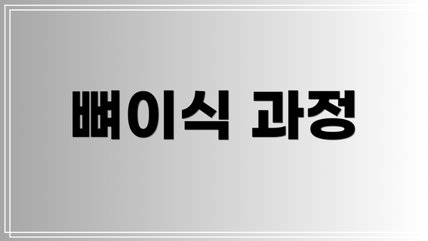 뼈이식 과정