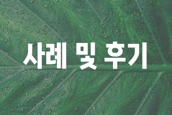 사례 및 후기