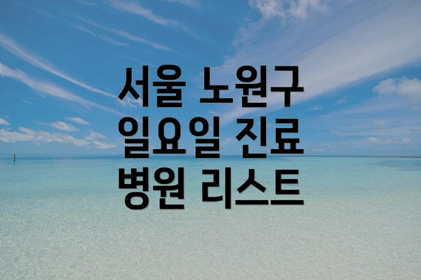 서울 노원구 일요일 진료 병원 리스트