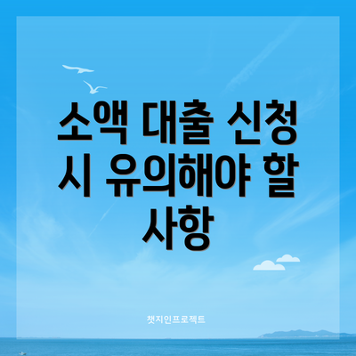 소액 대출 신청 시 유의해야 할 사항
