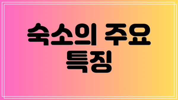 숙소의 주요 특징