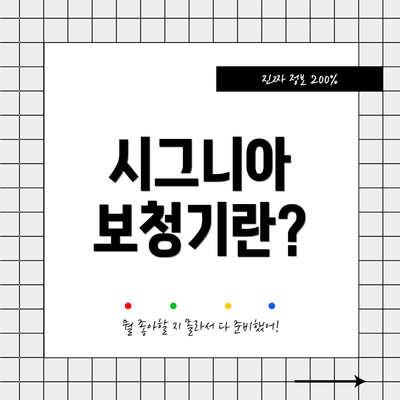 시그니아 보청기란?