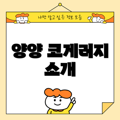 양양 코게러지 소개