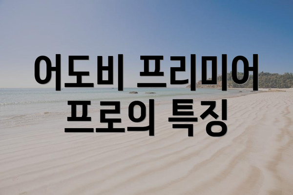 어도비 프리미어 프로의 특징