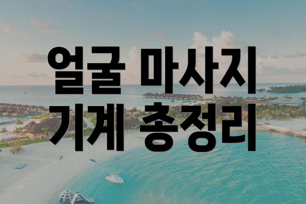 얼굴 마사지 기계 총정리