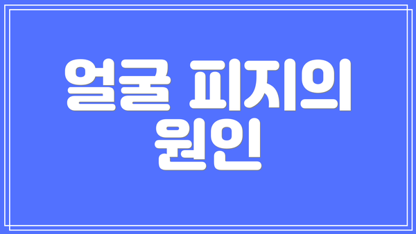 얼굴 피지의 원인