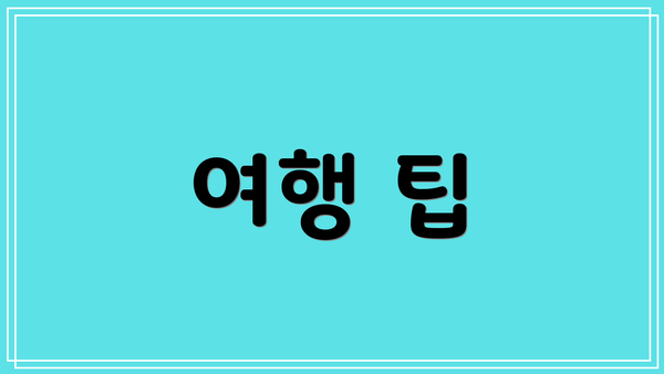 여행 팁