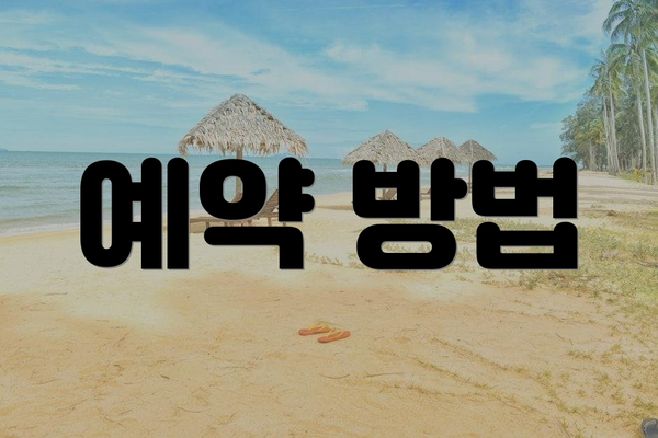 예약 방법