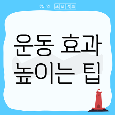운동 효과 높이는 팁
