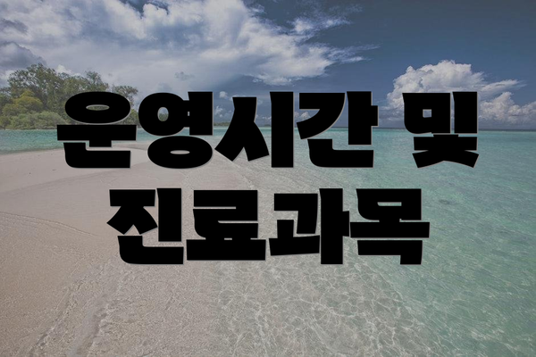 운영시간 및 진료과목