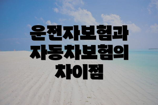 운전자보험과 자동차보험의 차이점