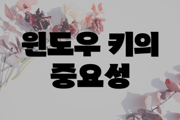 윈도우 키의 중요성