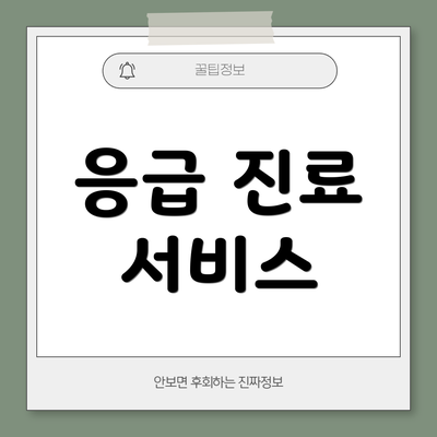 응급 진료 서비스