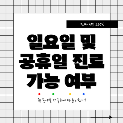 일요일 및 공휴일 진료 가능 여부