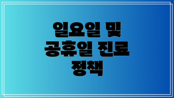 일요일 및 공휴일 진료 정책