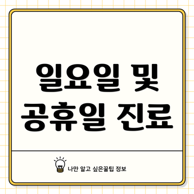일요일 및 공휴일 진료