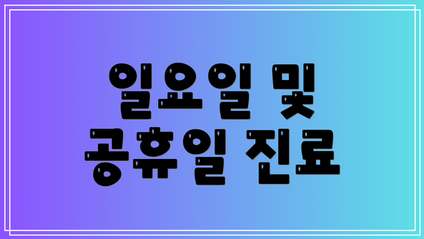 일요일 및 공휴일 진료