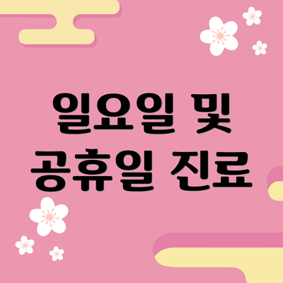 일요일 및 공휴일 진료