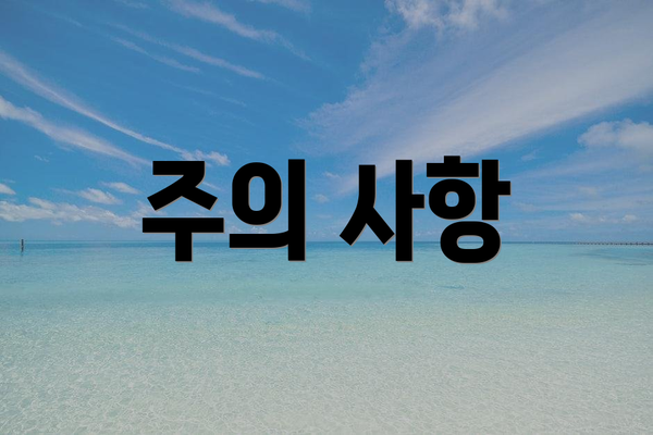 주의 사항
