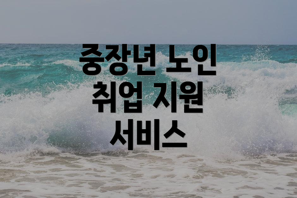 중장년 노인 취업 지원 서비스