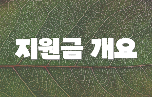 지원금 개요