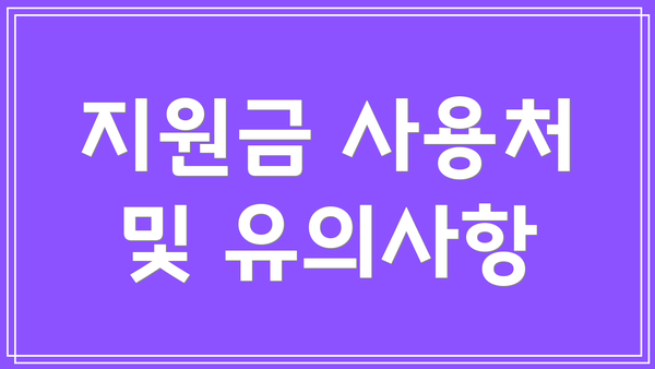지원금 사용처 및 유의사항