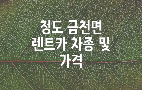 청도 금천면 렌트카 차종 및 가격