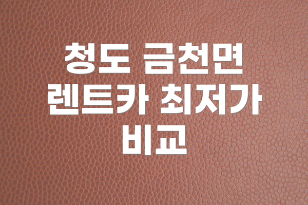 청도 금천면 렌트카 최저가 비교