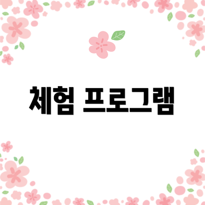 체험 프로그램