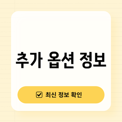 추가 옵션 정보