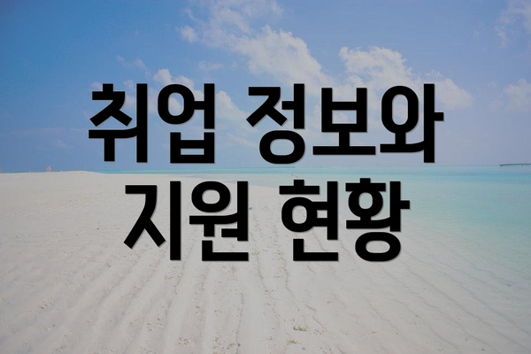 취업 정보와 지원 현황
