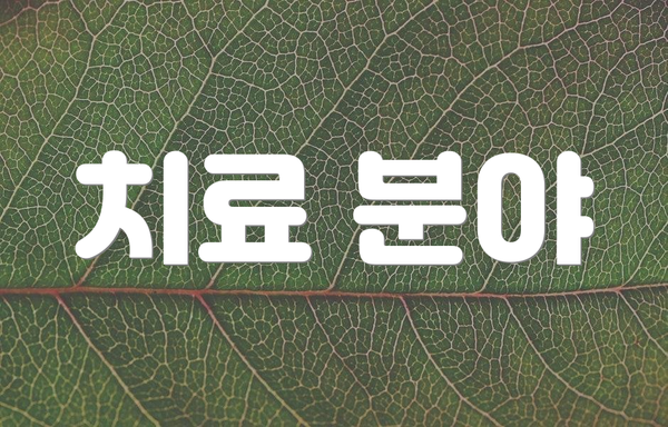 치료 분야