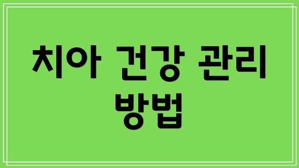 치아 건강 관리 방법