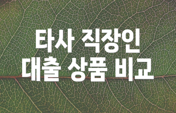 타사 직장인 대출 상품 비교