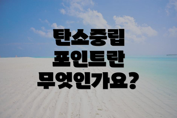 탄소중립 포인트란 무엇인가요?