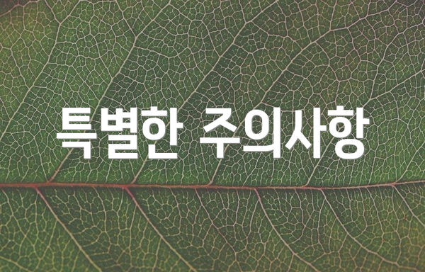 특별한 주의사항